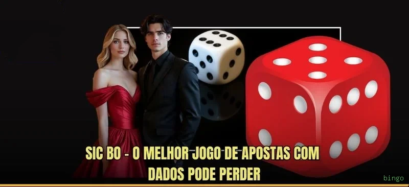 Guia rápido de apostas ao vivo na bingo